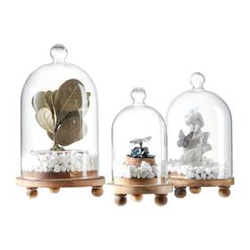 1200-1305 Kmwares 3pcs Glass Bell Shape Dome Cloche Display Various Decor And Accesso 1200-1305 Kmwares 3pcs Glass Bell Shape Dome Cloche Display Various Decor And Accesso