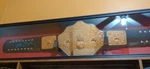 Wrestling Belt Display Case 55X13.5" Wwe Boxing Championship Title Cabinet Frame. Fixed Price $192.33.