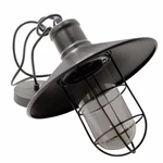 Calgary Traditional Ceiling Light & Wire Guard Rustic Iron 8W Led Home Retail. Fixed Price $24.10.