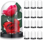 Zhengmy 12 Pcs Plastic Dome Display Case Cloche Bell Jar With Black And Clear. Fixed Price $46.84.