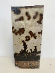 Dendrites Stand Up Display ( Utah). Fixed Price $41.00.