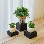 Neuxi Customizable Wooden Display Risers Set - 3 Different Height. Fixed Price $14.00.