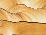 Larger! Picture Or Sandstone Slice/slab With Display Stand Utah 300GR. Fixed Price $29.99.