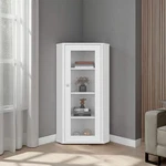 Tuhome Genova Display Cabinet With Glass Door, Multiple Interior Shelves And Mod. Fixed Price $204.00.