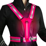 Led Reflective Vest Safety Gear, Light Up For Night Walking Cycling, Hig.... Fixed Price $21.18.